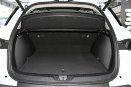 
										BYD Sea Lion 05 DM full									