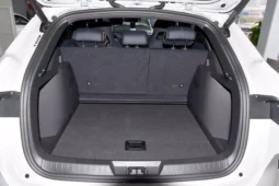 
										BYD Song PLUS EV full									