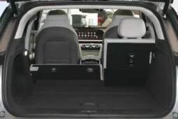 
										EXEED Yaoguang C-DM full									