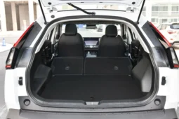 
										GAC Trumpchi Emkoo full									