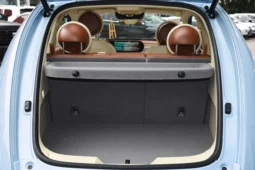 
										GWM Ora Ballet Cat full									