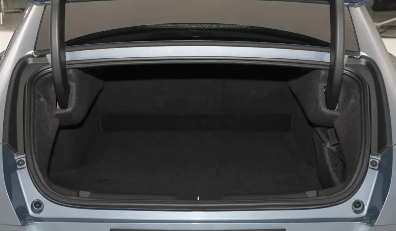 
								GWM Ora Lightening Cat full									