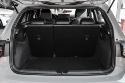 
										Volkswagen Golf full									