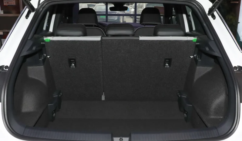 
								Volkswagen T-Roc full									