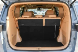 
										Voyah Dreamer EV full									