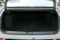 
										Wuling Xingguang EV full									