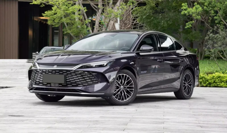 Imgi 3 byd qin l dm i 2024 appearance 1