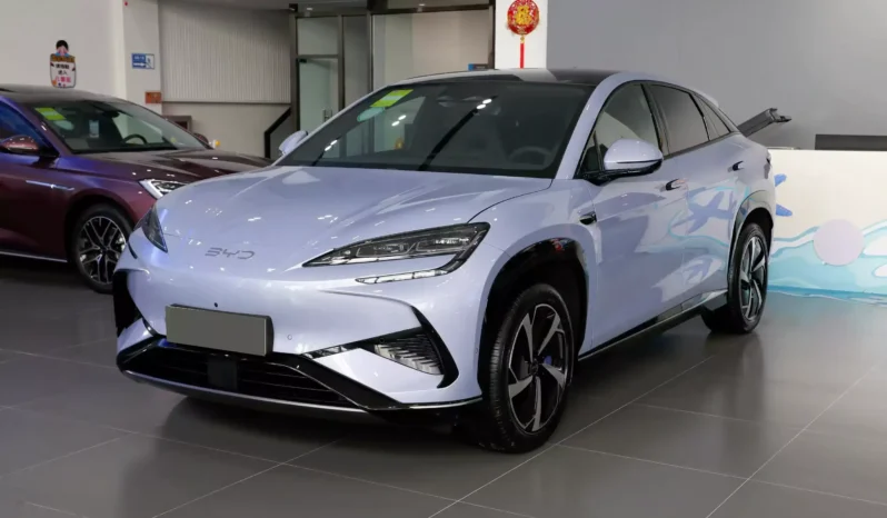 Imgi 3 byd sea lion 07 ev 2024 appearance 1