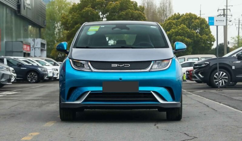 Imgi 4 byd dolphin 2023 appearance 2