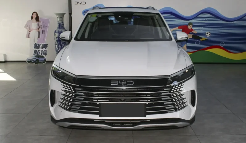 Imgi 4 byd sea lion 05 dm 2025 appearance 2