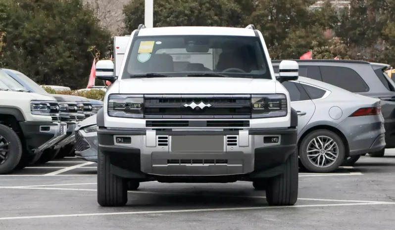 Imgi 4 fangchengbao bao 5 2023 appearance 2