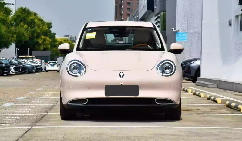 Imgi 4 gwm ora funky cat 2023 appearance 2