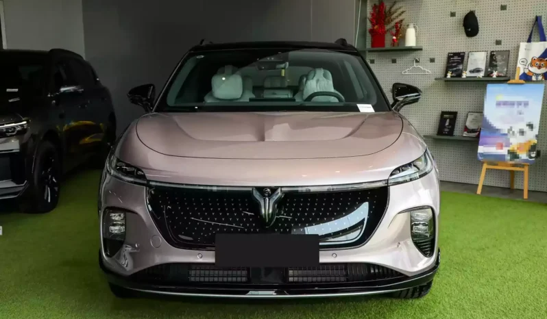 Imgi 4 voyah courage 2024 appearance 2