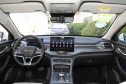 
										BYD Destroyer 05 full									