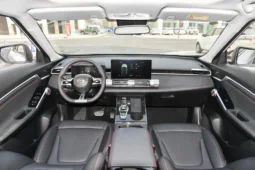 
										GAC Trumpchi Emkoo full									